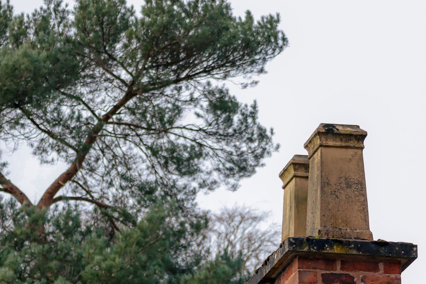 Brick chimney on a rooftop surrounded by trees