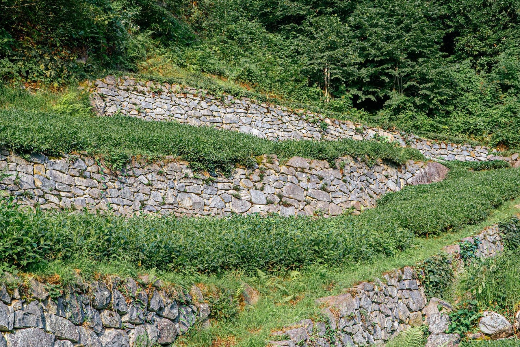 Terraced natural stone retaining walls on a landscaped slope